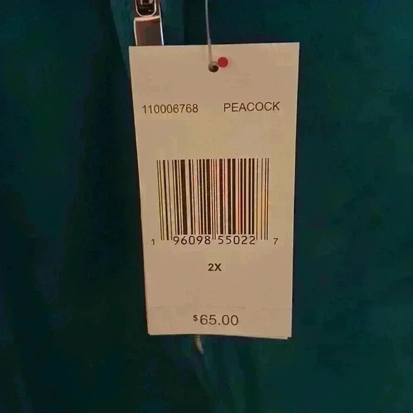 Juicy Couture Womens Plus Hoodie w Mid Rise Velour Pant Set NWT Y2K style 2X - Picture 14 of 14